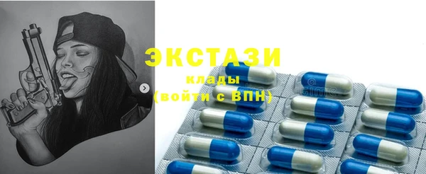 гашик Вяземский