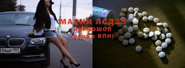 гашик Вяземский