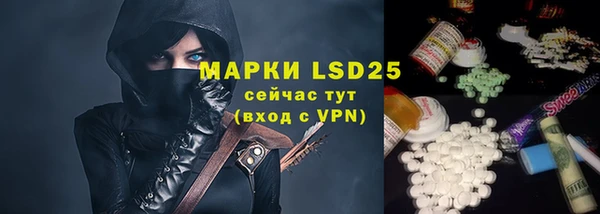 гашик Вяземский