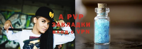 гашик Вяземский