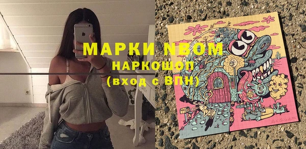 молекула духа Горняк