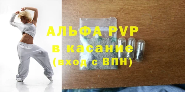 гашик Вяземский