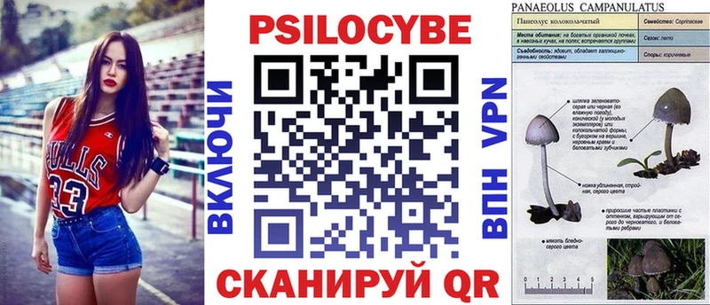 Псилоцибиновые грибы Psilocybe  Волгодонск 