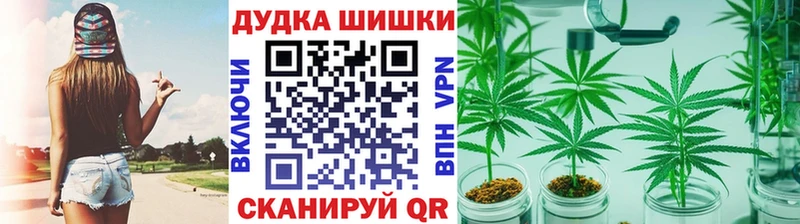 сколько стоит  Волгодонск  Конопля семена 